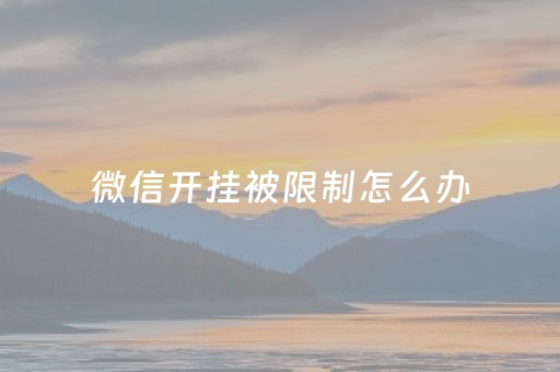 微信开挂被限制怎么办（微信开挂被限制怎么办呢）