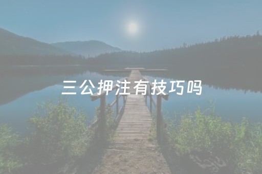 三公押注有技巧吗（三公押注有技巧吗是真的吗）