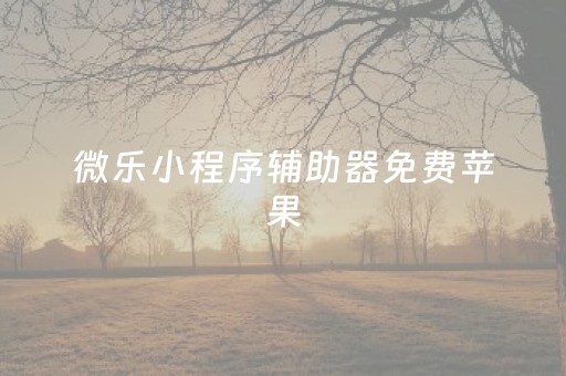 微乐小程序辅助器免费苹果（微信小程序微乐辅助免费）