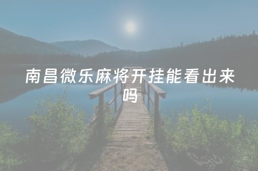 南昌微乐麻将开挂能看出来吗（南昌微乐麻将可以开挂吗）