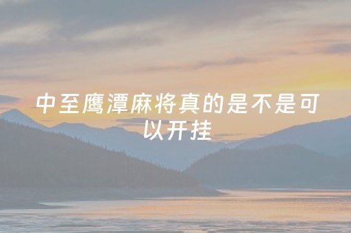 中至鹰潭麻将真的是不是可以开挂（中至鹰潭麻将怎么装开挂）