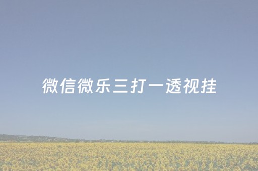 微信微乐三打一透视挂（微乐三打一能下挂吗）