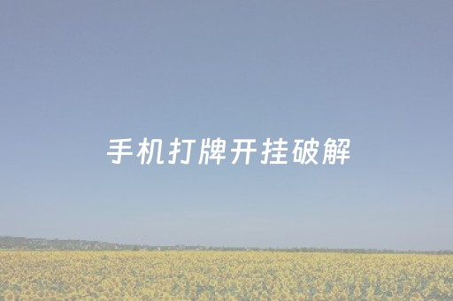 手机打牌开挂破解（手机打牌开挂破解免费）