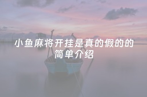 小鱼麻将开挂是真的假的的简单介绍