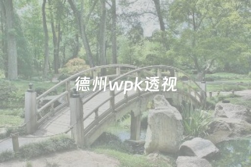 德州wpk透视（wepoker德州透视）