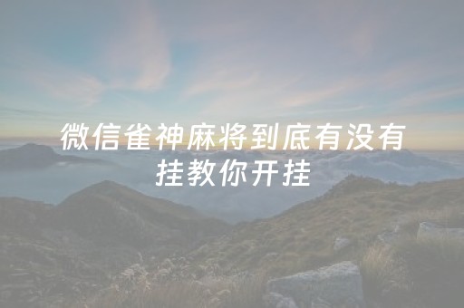 微信雀神麻将到底有没有挂教你开挂（微信上的雀神麻将有人开挂的吗?）