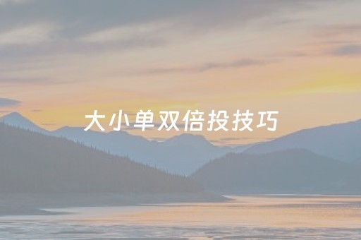 大小单双倍投技巧（大小单双怎样投倍数）