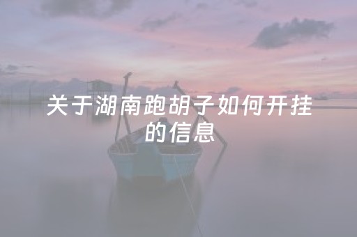 关于湖南跑胡子如何开挂的信息（湖南跑胡子玩法和规则）