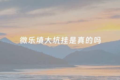 微乐填大坑挂是真的吗（微乐填大坑有挂么）