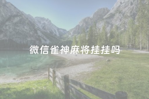 微信雀神麻将挂挂吗（微信雀神麻将挂挂吗安全吗）