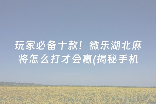 介绍十款！微乐安徽麻将助赢神器购买(怎么打容易赢)