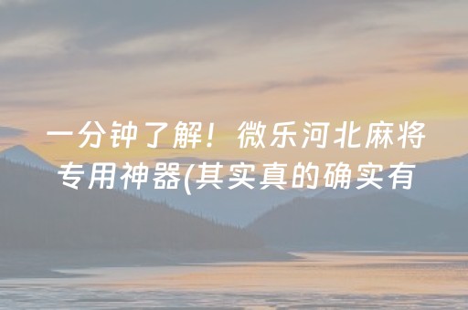 盘点十款！中至余干麻将软挂神器(赢的技巧系统规律)