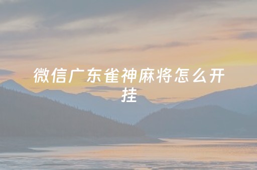 微信广东雀神麻将怎么开挂（微信广东雀神麻将开挂）