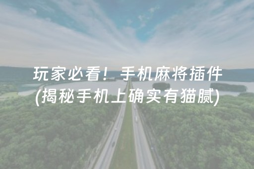 玩家必备教程“小程序麻将到底有没有开挂”！详细开挂教程（确实真的有挂)-知乎