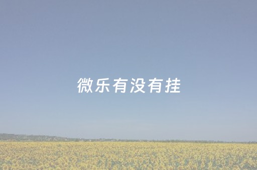 微乐有没有挂（微乐会不会有开挂）