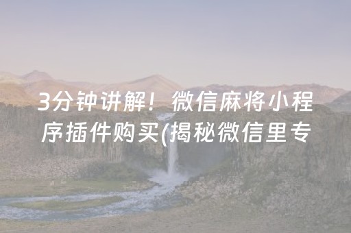 玩家必备攻略！微信微乐麻将系统一直让输咋回事(十打九赢的打法)