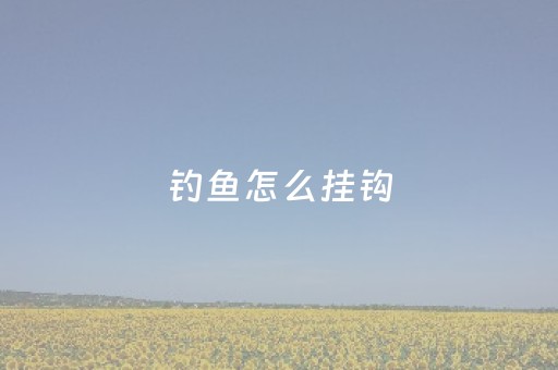 钓鱼怎么挂钩（面包虫钓鱼怎么挂钩）