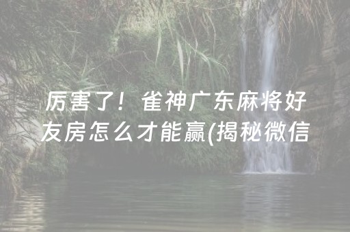 玩家必备！手机麻将软件只赢不输(技巧攻略怎样拿好牌)