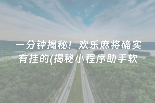 必看盘点揭秘！和和麻将其实是有挂的(怎样才能有好牌)