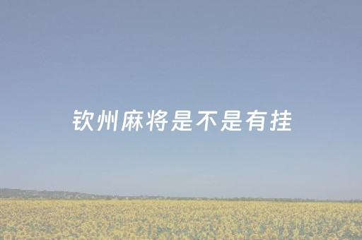 钦州麻将是不是有挂（钦州哪里有麻将卖）