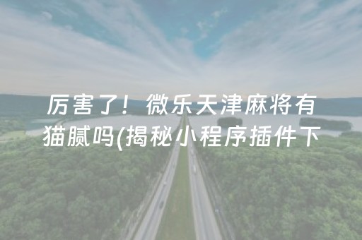 安装程序教程！中至九江麻将输赢机制(为什么总是输)