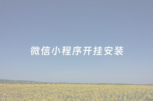 微信小程序开挂安装（微信小程序游戏开挂神器）