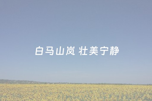 玩家必看科普！宁夏微乐麻将怎么赢(怎样设置才容易赢)