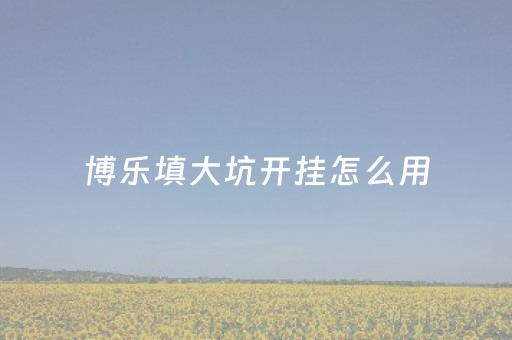 博乐填大坑开挂怎么用（博乐填大坑开挂）