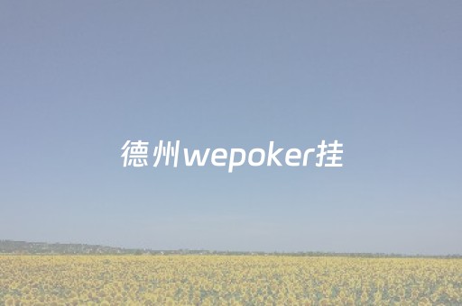 德州wepoker挂（wepoker德州辅助挂）