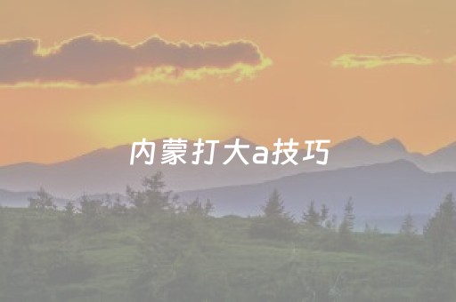 内蒙打大a技巧（内蒙古打大a）