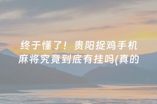 关于！中至赣州麻将软件出售(怎么提高好牌几率)