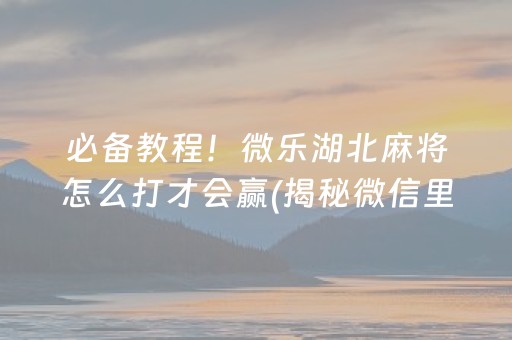 必看盘点“微乐海南麻将开挂版本软件下载”(原来真的有挂)-知乎