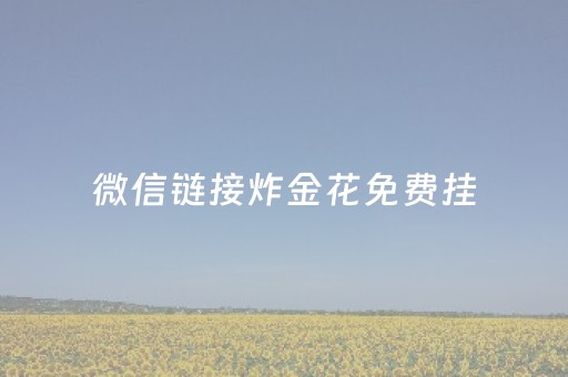 微信链接炸金花免费挂（微信炸金花 挂 试用）