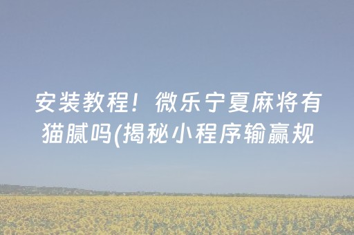 介绍十款！广西微乐麻将助赢神器购买(赢的技巧提高胜率)