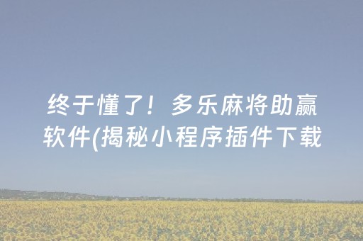 终于懂了！微乐山东麻将助攻神器(能设置输赢吗)