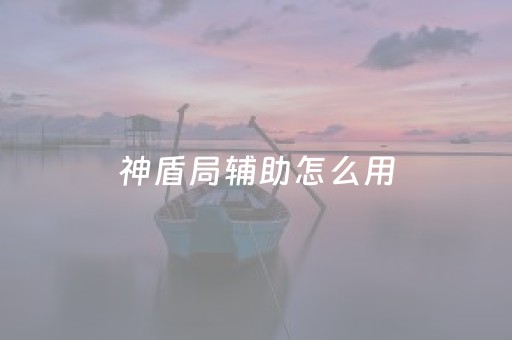 神盾局辅助怎么用（神盾游戏辅助）