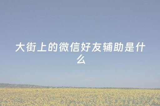 大街上的微信好友辅助是什么（微信好友辅助套路）