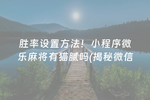 胜率设置方法！小程序微乐麻将有猫腻吗(揭秘微信里攻略插件)