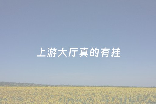 上游大厅真的有挂（上游大厅免费辅助插件）