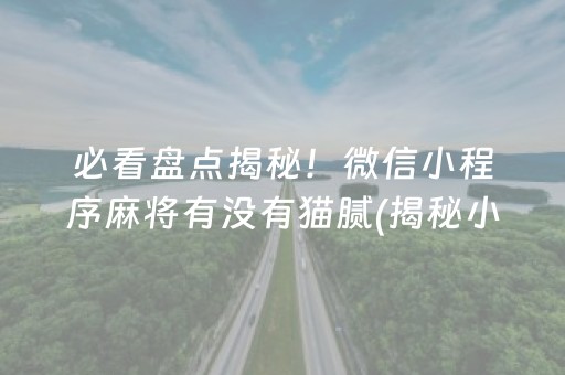 必看盘点揭秘！微信小程序麻将有没有猫腻(揭秘小程序插件下载)