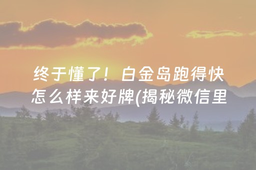 终于懂了！白金岛跑得快怎么样来好牌(揭秘微信里助赢神器购买)