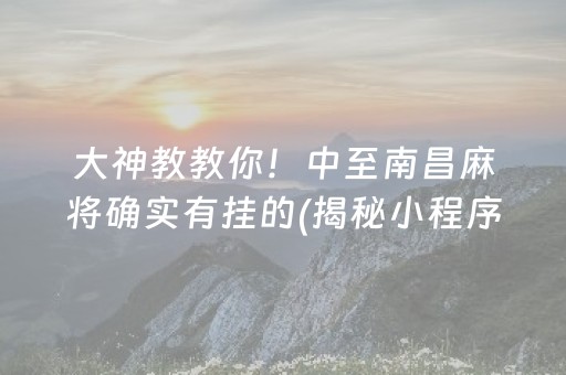 大神教教你！中至南昌麻将确实有挂的(揭秘小程序专用神器下载)