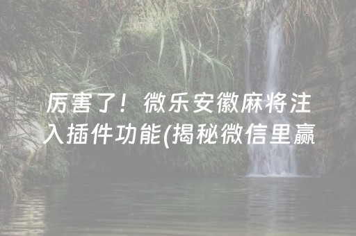 厉害了！微乐安徽麻将注入插件功能(揭秘微信里赢的诀窍)