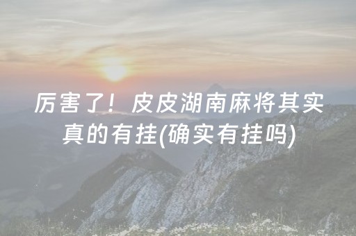 厉害了！皮皮湖南麻将其实真的有挂(确实有挂吗)