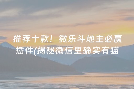 推荐十款！微乐斗地主必赢插件(揭秘微信里确实有猫腻)