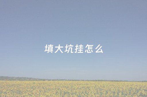 填大坑挂怎么（填大坑辅助器免费）