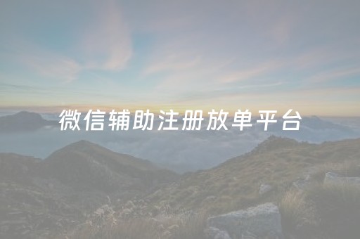 微信辅助注册放单平台（微信辅助注册放单平台是什么）