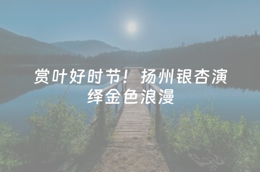 玩家必备！河南微乐麻将推倒胡如何提高胜率(老是输为什么)