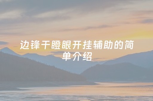 边锋干瞪眼开挂辅助的简单介绍（边锋干瞪眼玩法）