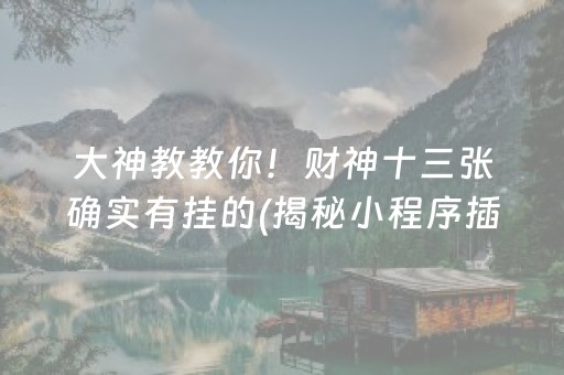 大神教教你！财神十三张确实有挂的(揭秘小程序插件购买)